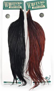 Whiting Hebert 1/2 Dry Fly Cape