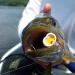 Double Barrel Popper & Slider Bodies