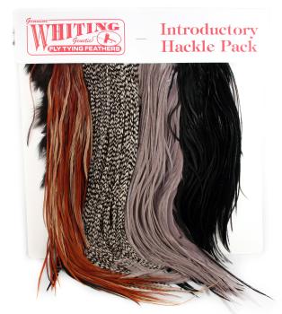 Whiting Introductory Pack: Saddles