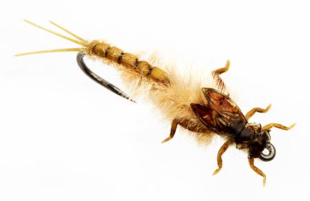 Mayfly Nymph