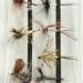 Mayflies (selection)