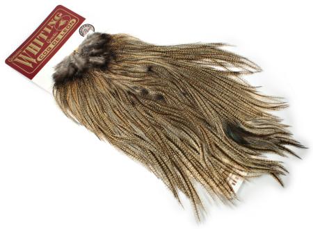Whiting Coq de Leon Tuppsadel