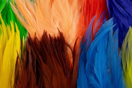FutureFly Rooster Saddle Feathers