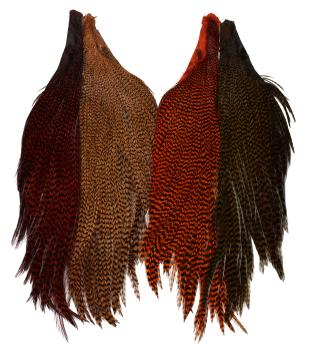 Hareline Dyed Grizzly Starter Cape Set