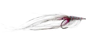 Pattegris Shellback