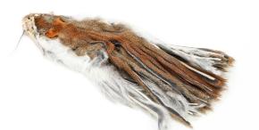Zonkered Pine Squirrel Skin