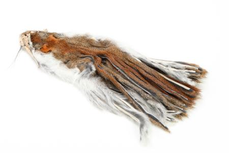 Zonkered Pine Squirrel Skin