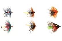Wet Flies (lajitelma)