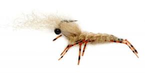 Honey Shrimp