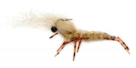 Honey Shrimp
