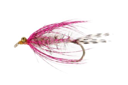 Polar Magnus UV