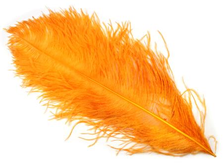 Ostrich Plumes (SilverGrey)