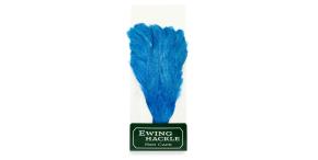 Ewing Hen Cape
