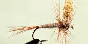 March Brown Dry