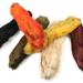 Patagonian Hare's Feet