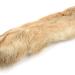 Patagonian Hare's Feet