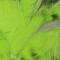 Chartreuse Svart