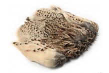 Hen Pheasant Skin