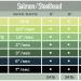 Airflo Salmon & Steelhead Polyleader - Extra Strong