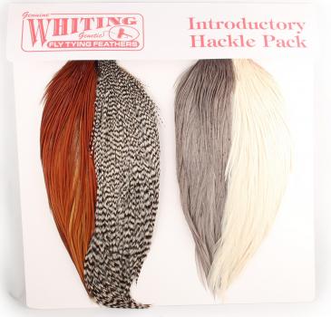 Whiting Introductory Pack: Capes