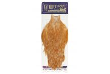 Whiting American Hen Cape