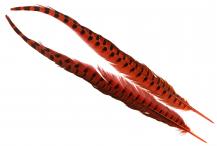 UV2 Ringneck Pheasant Tail