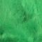 Fl. Green Chartreuse