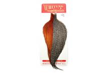 Whiting Combo Dry Fly Neck