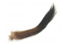 Stoat's Tail (complete)