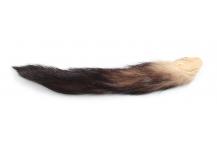 Fitch's Tail