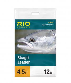 RIO Skagit Leader